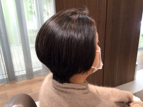 ヘナとヘアマニキュアの関係 田園調布 自由が丘の髪質改善できる個室美容室 パーソナルサロン ソアヴィ ヘナとヘアマニキュアの関係 田園調布 自由が丘の髪質改善できる個室美容室 パーソナルサロン ソアヴィ