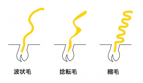 髪のくせ毛でお悩みの方へ 撥水毛 乾燥毛 のくせ毛について 田園調布 自由が丘の髪質改善できる個室美容室 パーソナルサロン ソアヴィ 髪のくせ毛でお悩みの方へ 撥水毛 乾燥毛 のくせ毛について 田園調布 自由が丘の髪質改善できる個室美容室 パーソナルサロン ソアヴィ