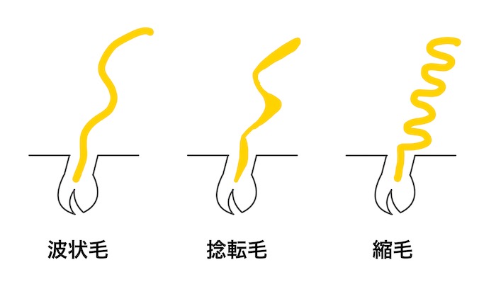 くせ毛でお悩みの方へ。～髪質を活かそう～